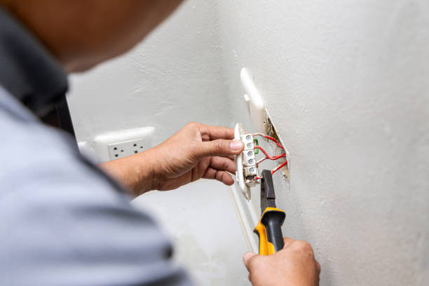 Best Electrician for Home Renovation  in Rosemont, CA