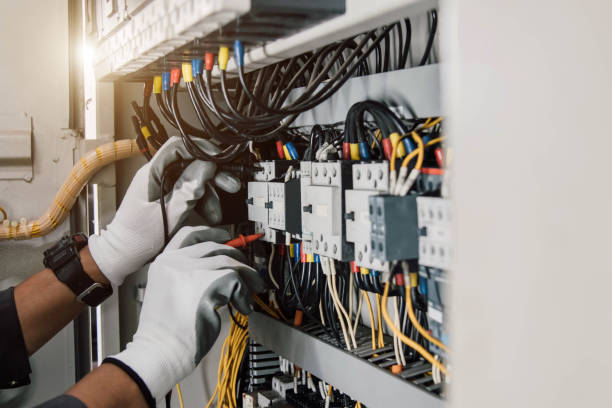 Best Electric Panel Repair  in Rosemont, CA